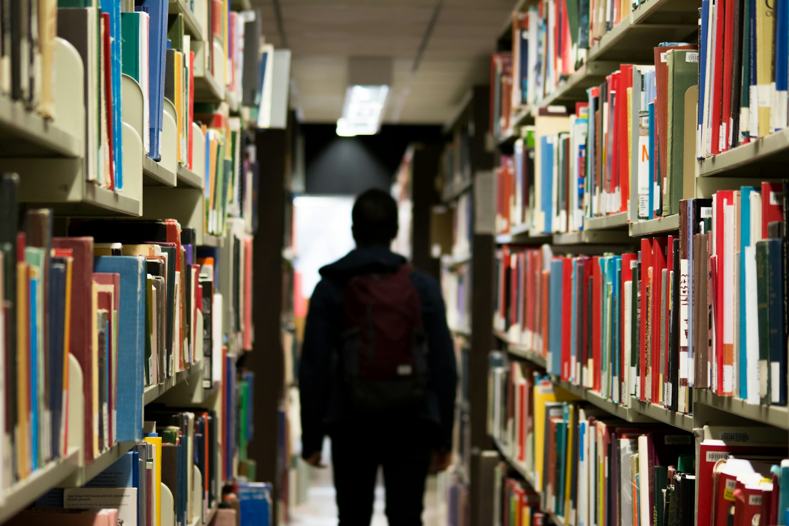 Como estudar biologia para o Enem: ecologia, genética e fisiologia